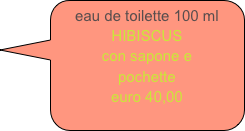 eau de toilette 100 ml
HIBISCUS
con sapone e 
pochette
euro 40,00
