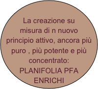 La creazione su misura di n nuovo principio attivo, ancora più puro , più potente e più concentrato: 
PLANIFOLIA PFA ENRICHI