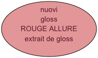 nuovi gloss
ROUGE ALLURE
extrait de gloss