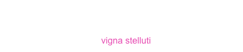 

                                                    
                                              vigna stelluti