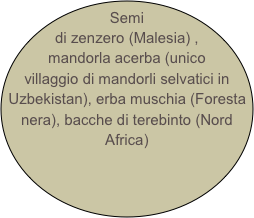 Semi di zenzero (Malesia) , mandorla acerba (unico villaggio di mandorli selvatici in Uzbekistan), erba muschia (Foresta nera), bacche di terebinto (Nord Africa)