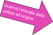 
ricarica l’energia delle cellule all’origine