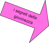 
     i segreti della giovinezza
