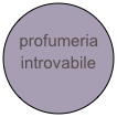 profumeria introvabile