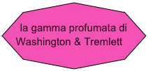 
la gamma profumata di Washington & Tremlett 