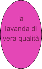 

la lavanda di vera qualità