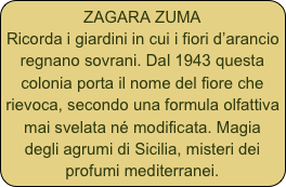 ZAGARA ZUMA
Ricorda i giardini in cui i fiori d’arancio regnano sovrani. Dal 1943 questa colonia porta il nome del fiore che rievoca, secondo una formula olfattiva mai svelata né modificata. Magia degli agrumi di Sicilia, misteri dei profumi mediterranei.